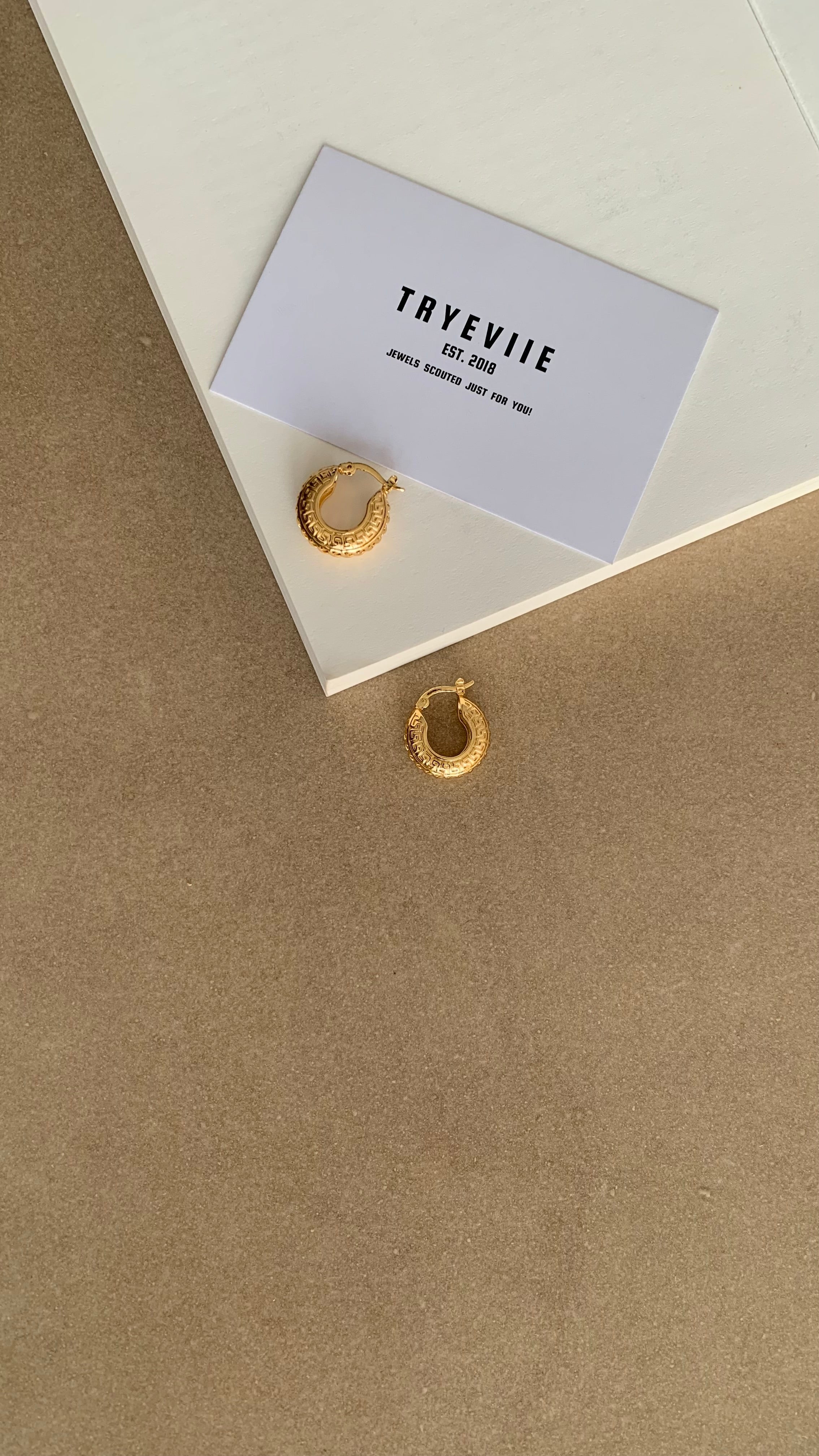 ESSENTIAL DETAILED CRESCENT HOOP EARRINGS