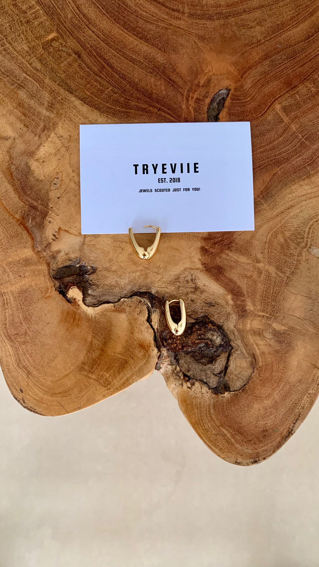 BALANCE SLEEPERS HUGGIES HOOP EARRINGS