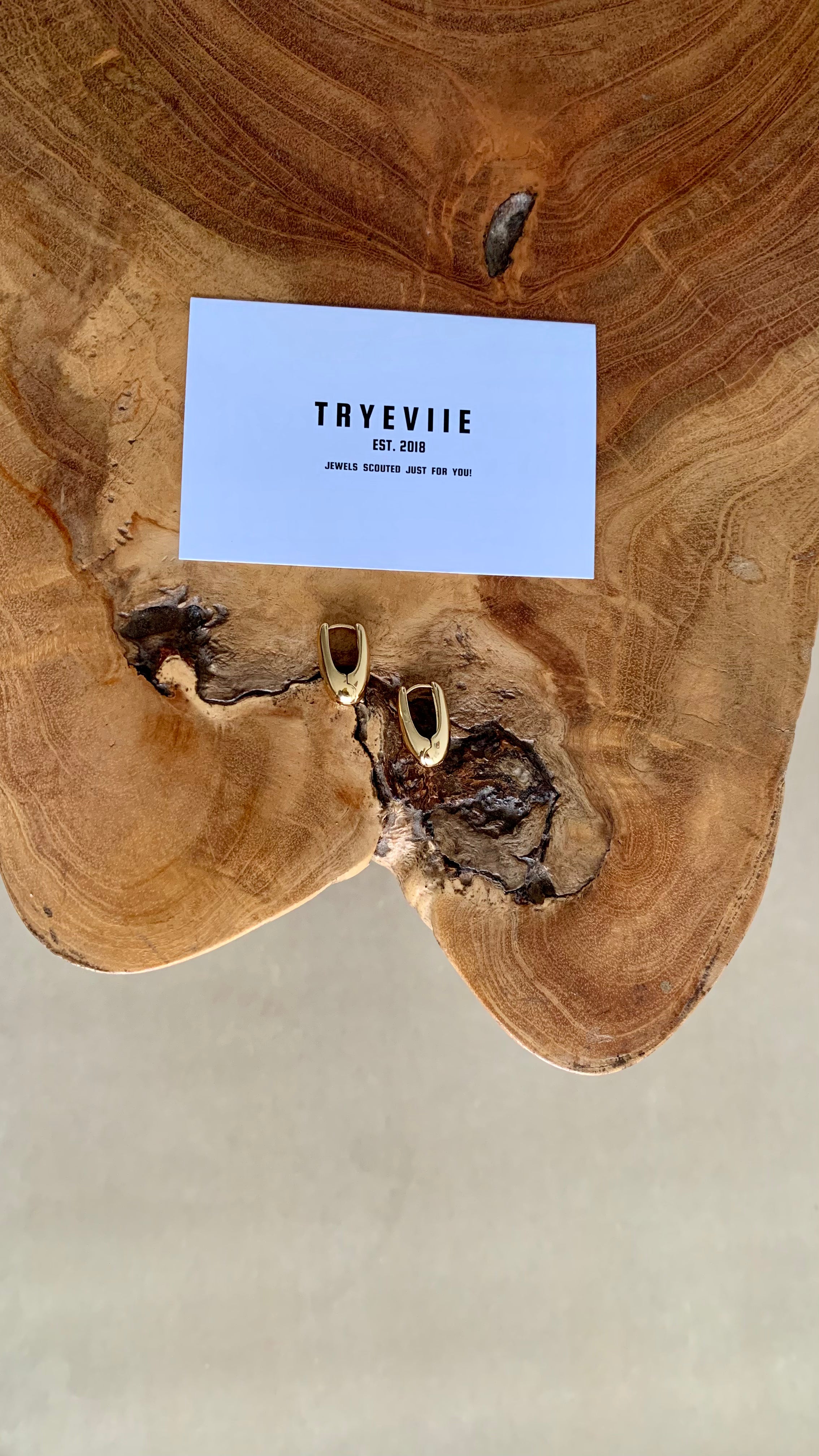 BALANCE SLEEPERS HUGGIES HOOP EARRINGS